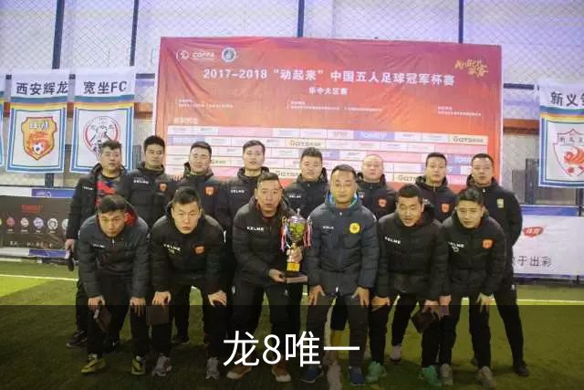龙8唯一企业介绍
